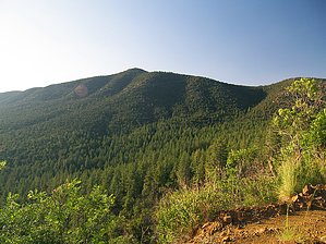 feature photo
