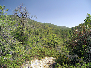 feature photo