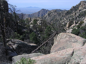 feature photo