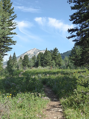 feature photo