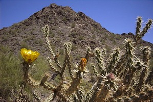 feature photo