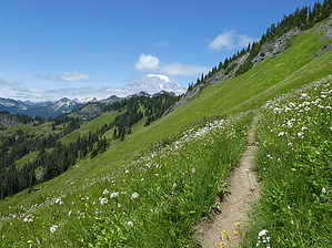feature photo