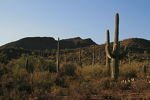feature photo