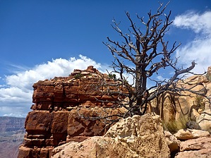 feature photo
