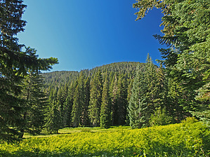 feature photo