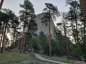 feature photo
