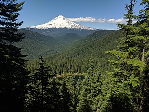 feature photo