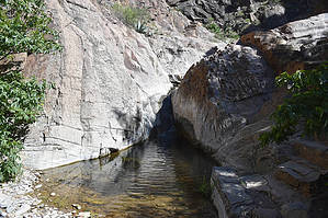 feature photo