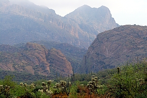 feature photo