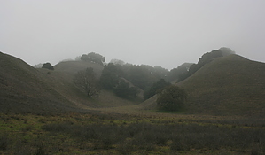 feature photo