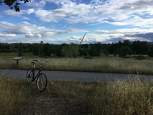 feature photo