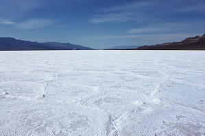 feature photo