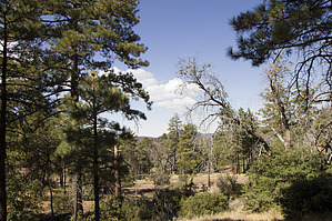 feature photo
