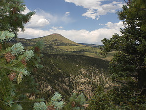 feature photo