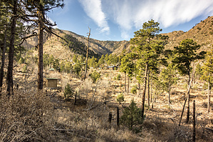 feature photo
