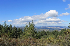 feature photo