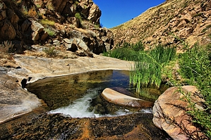 feature photo