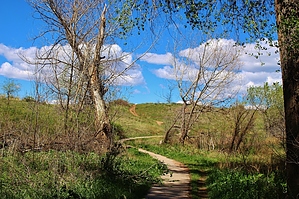feature photo