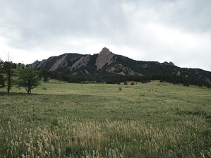 feature photo