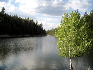 feature photo