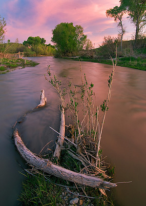 feature photo