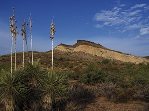 feature photo