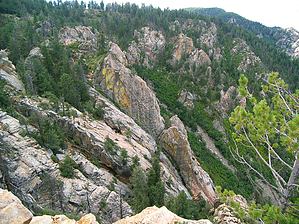 feature photo