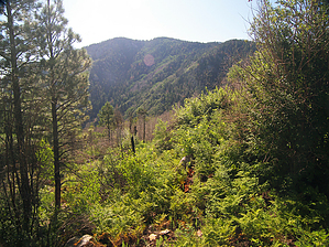 feature photo