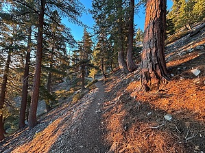 feature photo