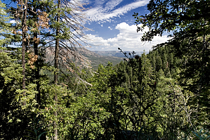 feature photo