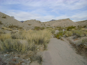 feature photo