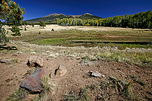 feature photo