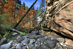 feature photo