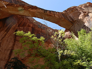 feature photo
