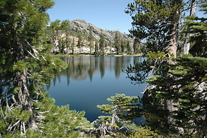 feature photo