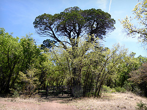 feature photo