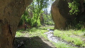 feature photo