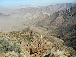 feature photo