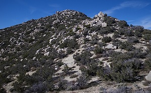 feature photo