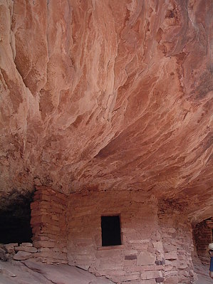 feature photo