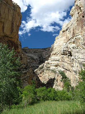 feature photo