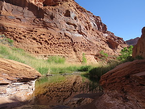 feature photo