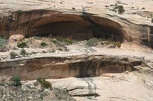 feature photo
