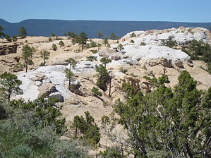 feature photo