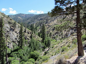 feature photo