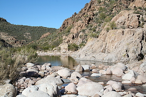 feature photo