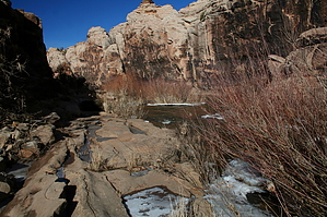 feature photo