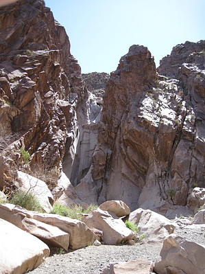 feature photo