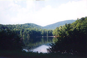 feature photo