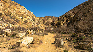 feature photo